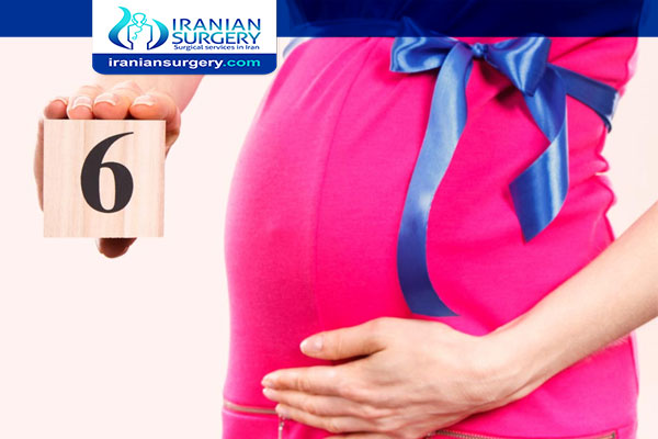 الشهر السادس من الحمل الشهر السادس من الحمل بالتفصيل أعراض الحمل في الشهر السادس