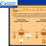 2 blastocyst transfer twin rate