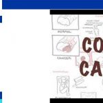 Colorectal Cancer Pathophysiology