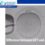 Difference between zift and gift
