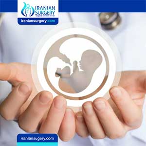 Fertility Treatment Hospitals in Iran