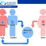 How many days after period is frozen embryo transfer?