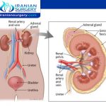 أعراض سرطان الکلی