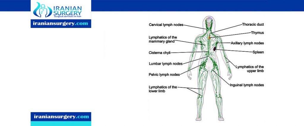 Lymphadenectomy