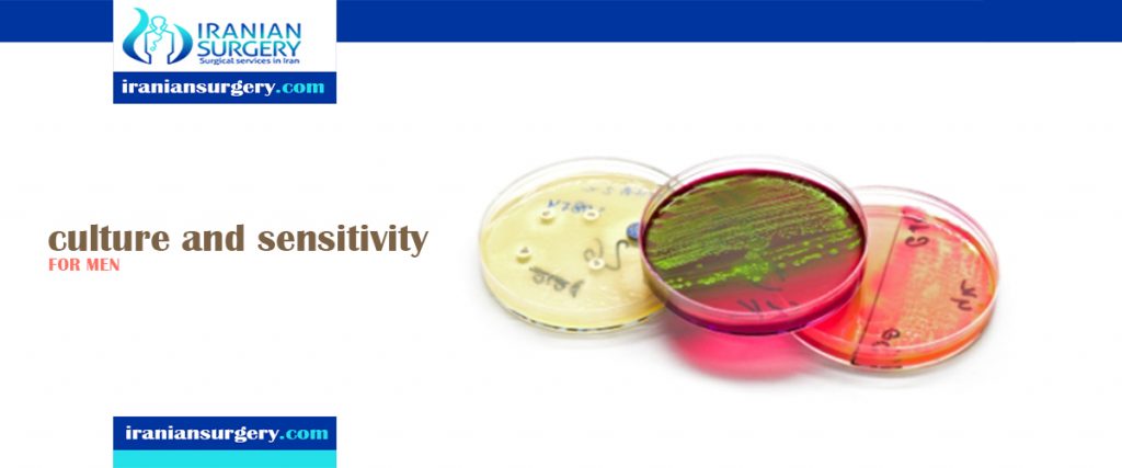 Urine Culture And Sensitivity Test Sample Report Iranian Surgery