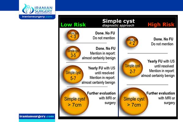 Ovarian Cyst Size Chart In Cm: A Visual Reference of Charts | Chart Master