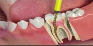 dentist