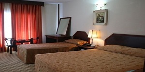 Pic (3)