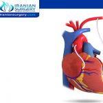 عملية القلب المفتوح رباعي فالوت (رباعية )