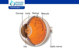 Small incision lenticule extraction | What is the smile eye procedure?