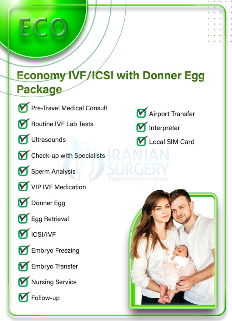 egg donner green 1