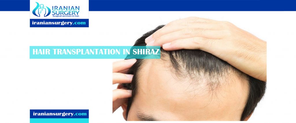hair transplant in iran shiraz