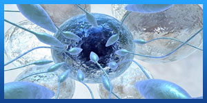 is icsi more successful than ivf
