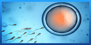 IUI vs. IVF