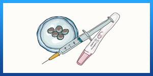 IVF with donor eggs process