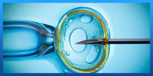 The Advantages and Disadvantages of IVF