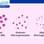 How to Test for Sperm DNA Fragmentation?