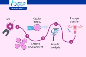 Preimplantation Genetic Diagnosis (PGD) process Step by step