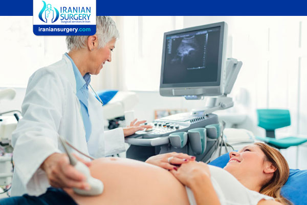 Pregnancy: Prenatal Ultrasonography