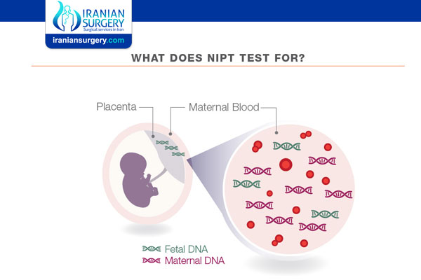 Noninvasive Prenatal Testing