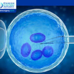 Heavy Period After Failed IVF