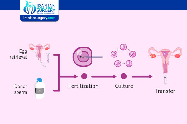 IVF With Donor Egg and Sperm