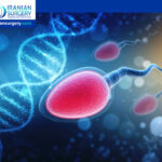 What Causes Sperm DNA Fragmentation?