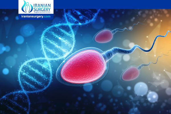 Can you improve sperm DNA fragmentation?