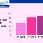 IVF With Donor Egg Success Rates