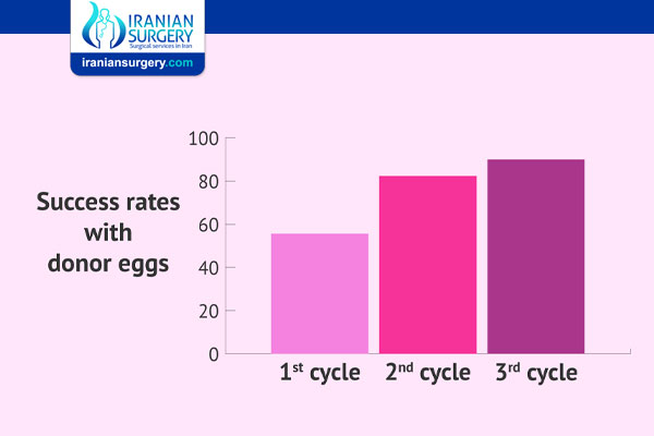 IVF With Donor Egg Success Rates