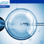 IVF Timeline with Genetic Testing