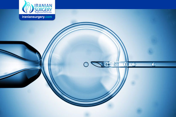 IVF Timeline with Genetic Testing