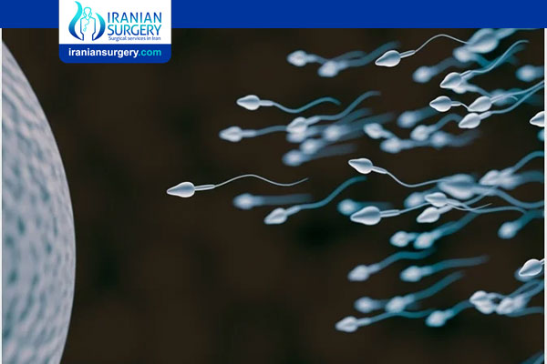 total-motile-sperm-count-formula-iranian-surgery