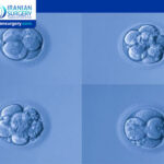 Embryo Grading Days