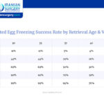 Egg Freezing Success Rates by Age