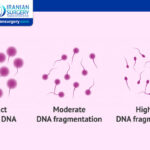 Sperm DNA Fragmentation Test Procedure