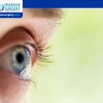 How long does it take for clear vision after a vitrectomy