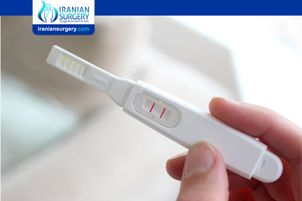 Am I Pregnant?