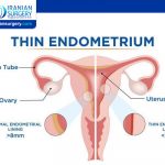 هل ضعف بطانة الرحم تمنع الحمل؟