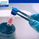 Embryo Freezing (Cryopreservation)