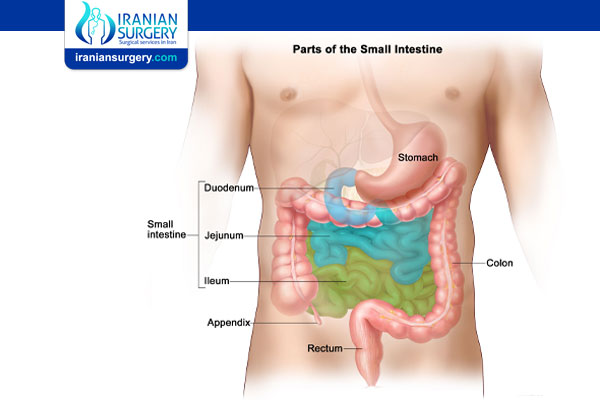 Small Intestine Cancer