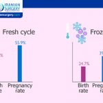 Are Frozen Donor Eggs as Good as Fresh?