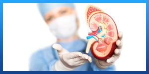 Kidney Transplant in iran
