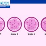 IVF Embryo Grading