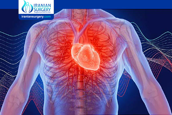 what-is-the-success-rate-of-aortic-valve-replacement-surgery-iranian