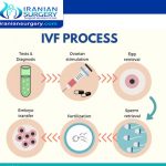 ivf process start to finish