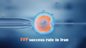 ivf success rate in iran
