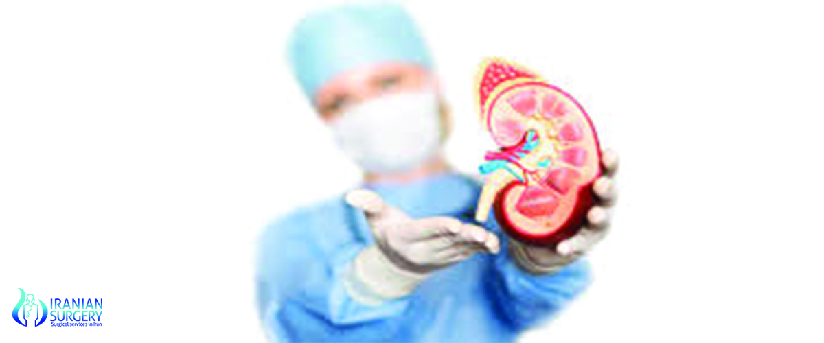 Kidney Stone Surgery(ureteroscopy) in Iran
