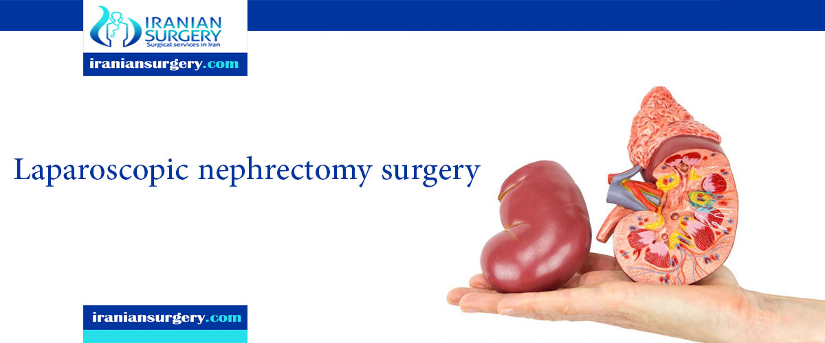 What is laparoscopic nephrectomy surgery