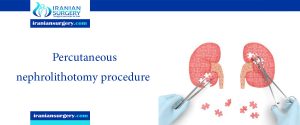 percutaneous nephrolithotomy procedure